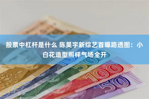 股票中杠杆是什么 陈昊宇新综艺首曝路透图：小白花造型照样气场全开