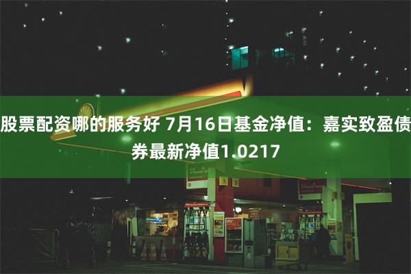 股票配资哪的服务好 7月16日基金净值：嘉实致盈债券最新净值1.0217