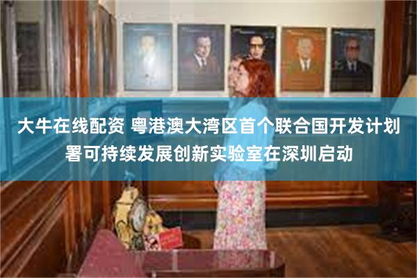 大牛在线配资 粤港澳大湾区首个联合国开发计划署可持续发展创新实验室在深圳启动